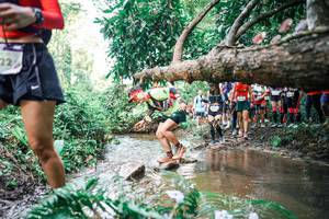 BIB: 
                            <button type="button" onclick="openModal(25516562)" class="btn btn-primary btn-sm float-right btn-popup" data-toggle="modal" data-target=".modal-high-quality">
                        <i class="fas fa-shopping-cart"></i> Add to Cart
                    </button>
                                            <button type="button" onclick="isThisMe(25516562, true)" class="btn btn-success btn-sm float-right btn-popup btn-isme hidden" data-toggle="tooltip" data-placement="bottom" title="นี่คือรูปของคุณใช่ไหม คลิกที่นี่เพื่อเอาเข้าอัลบั้ม">
                        <i class="fas fa-plus"></i> Add to album
                    </button>
                    <button type="button" onclick="isThisMe(25516562, false)" class="btn btn-warning btn-sm float-right btn-popup btn-isnotme hidden">
                        <i class="fas fa-ban"></i> Remove from album
                    </button>